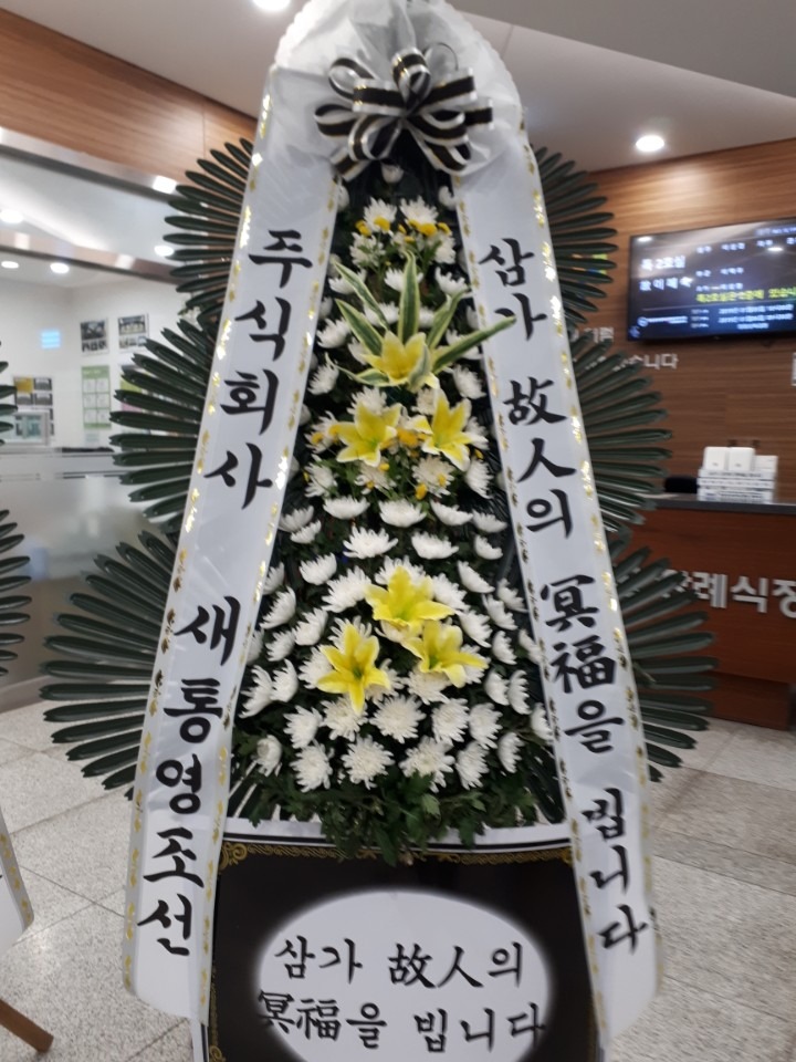 뺴ʽ...