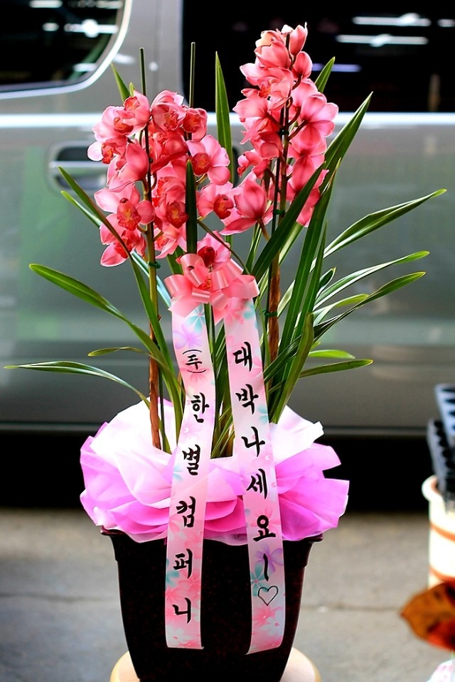 뱸޼ SKTѹ̴븮ǳ...