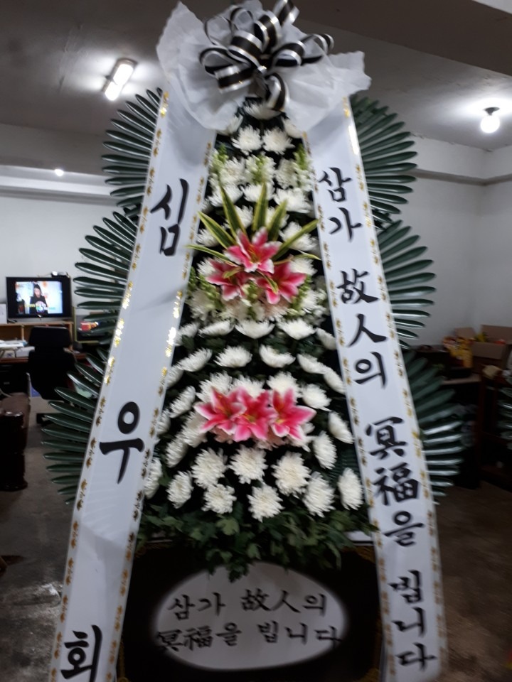 뺴ʽ...