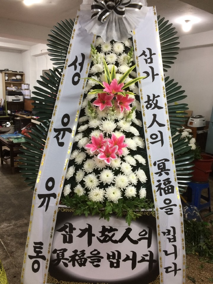 Ｚâʽ..