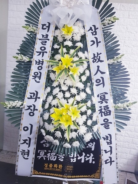 뱸Ƿ ȭʽ...