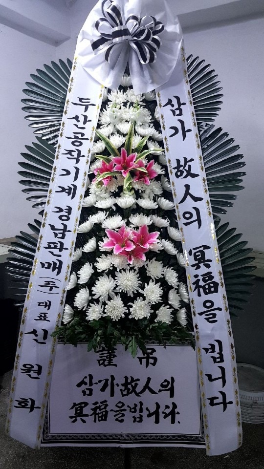 뺴ʽ...