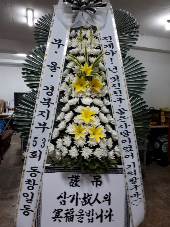 뺴ʽ...