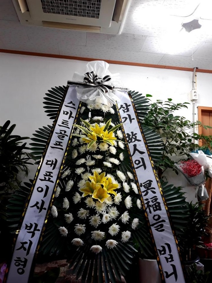 뿵ﺴʽ....