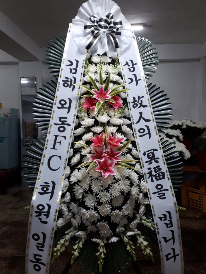 뺴ʽ...