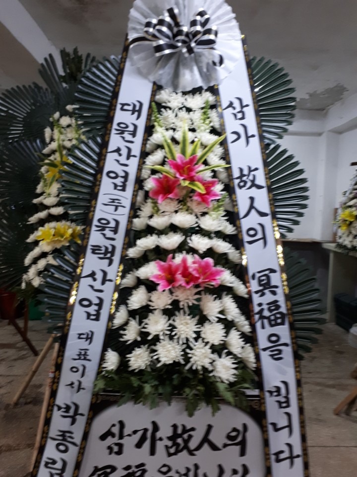 뺴ʽ...