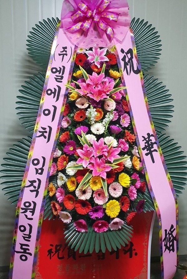 뱸漺ȸ....