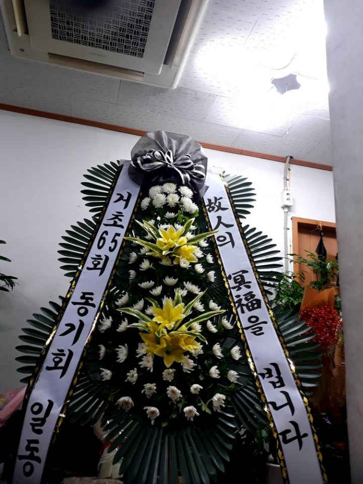 뿵ﺴʽ...