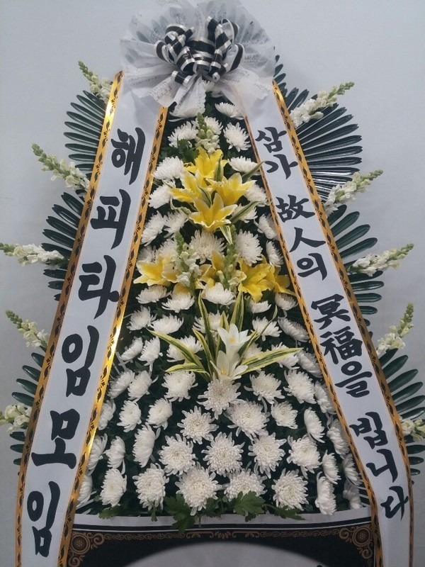Ŵ뺹ʽ....