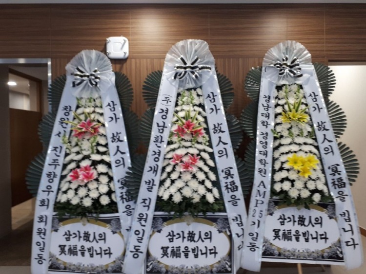 뺴ʽ...