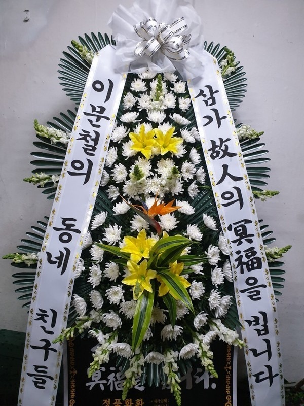 뱸Ƿ ȭ...