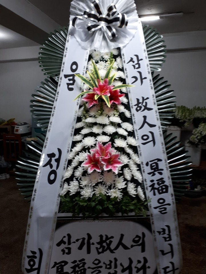 뺴ʽ,.,,,