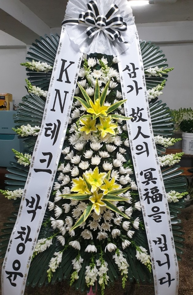 뺴ʽ...