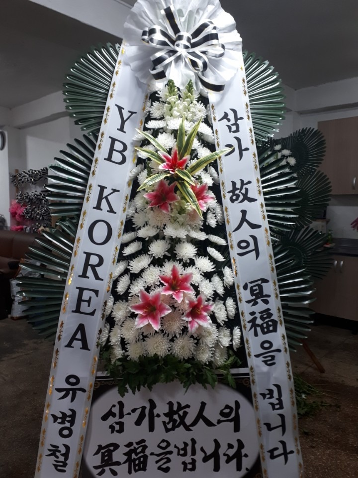 ū纴,,,,