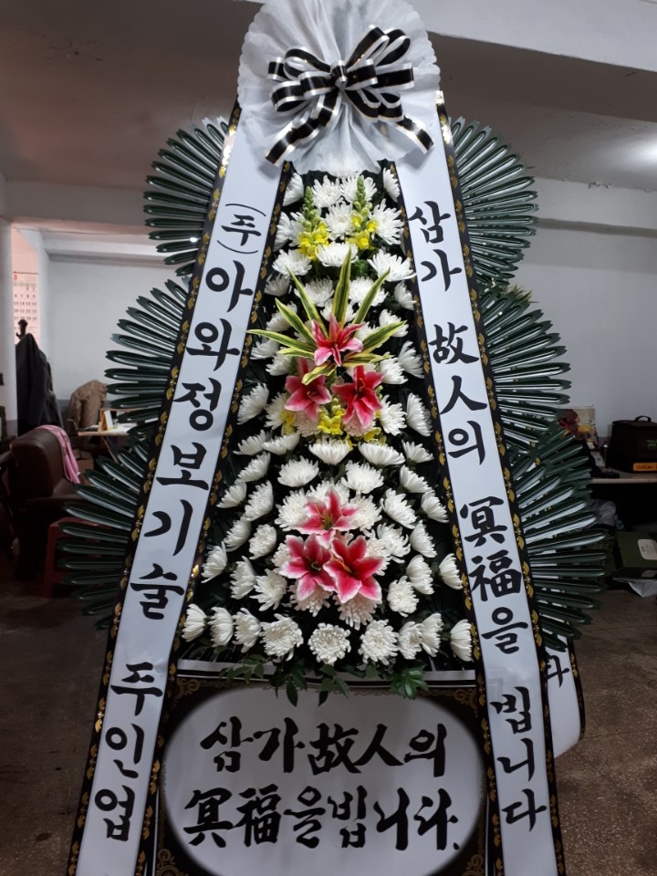 뺴ʽ...