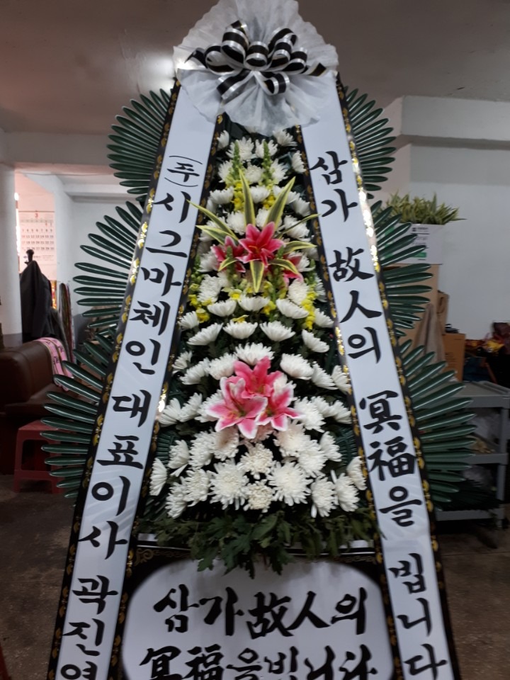 뺴ʽ...