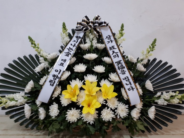 뺴ʽ...