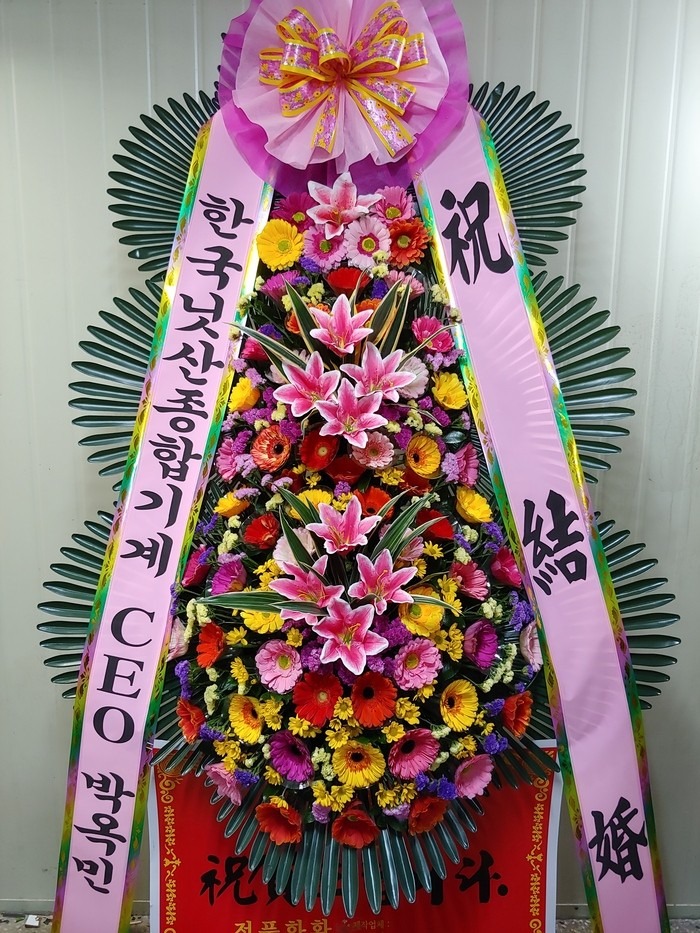 뱸 밥ƿȦ...