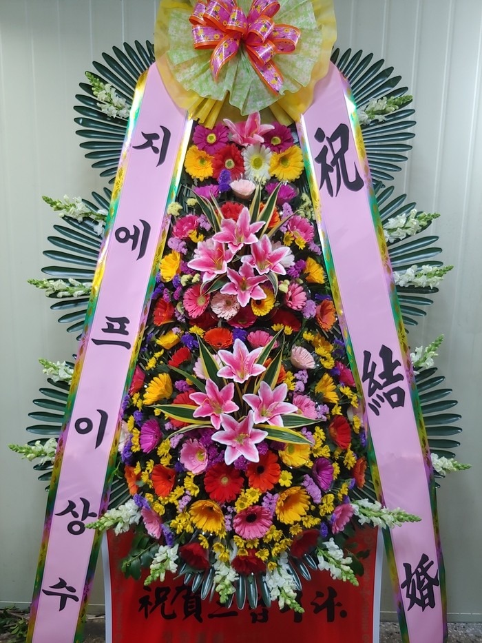 뱸 ͺҰȣڿȦ...