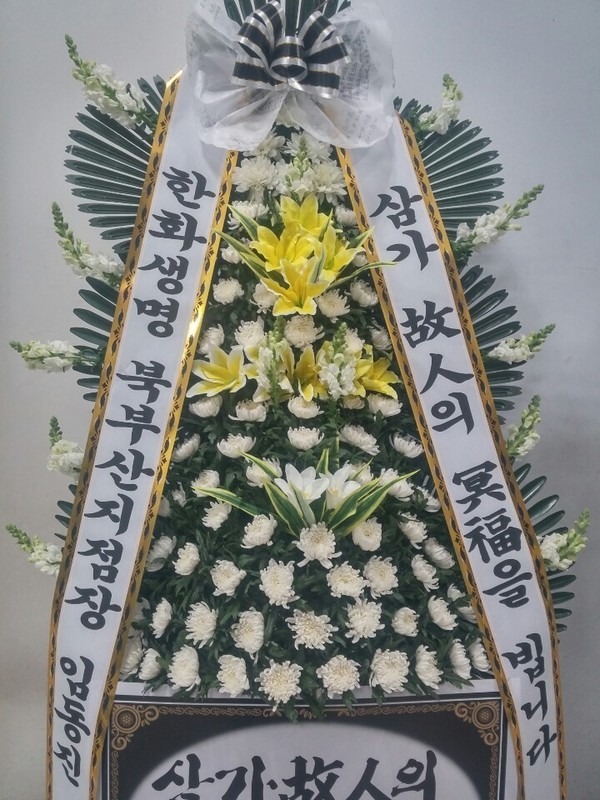 λ պʽ....