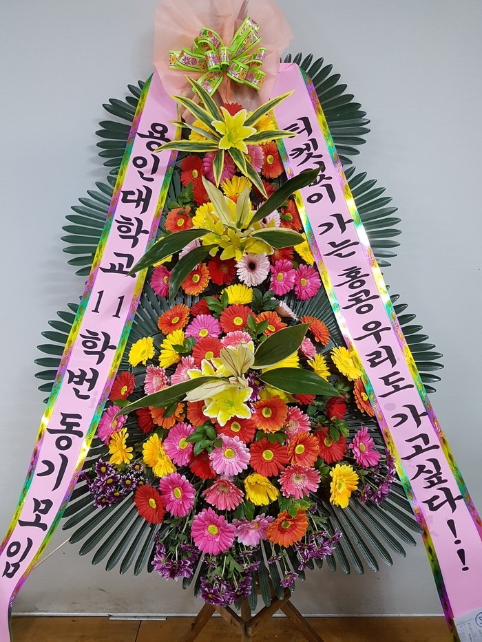  ϻ굿 ڿȦ...