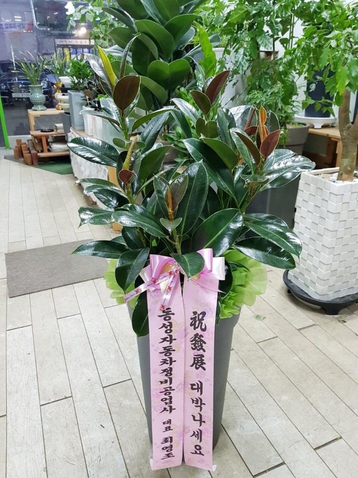 󳲵 츮...
