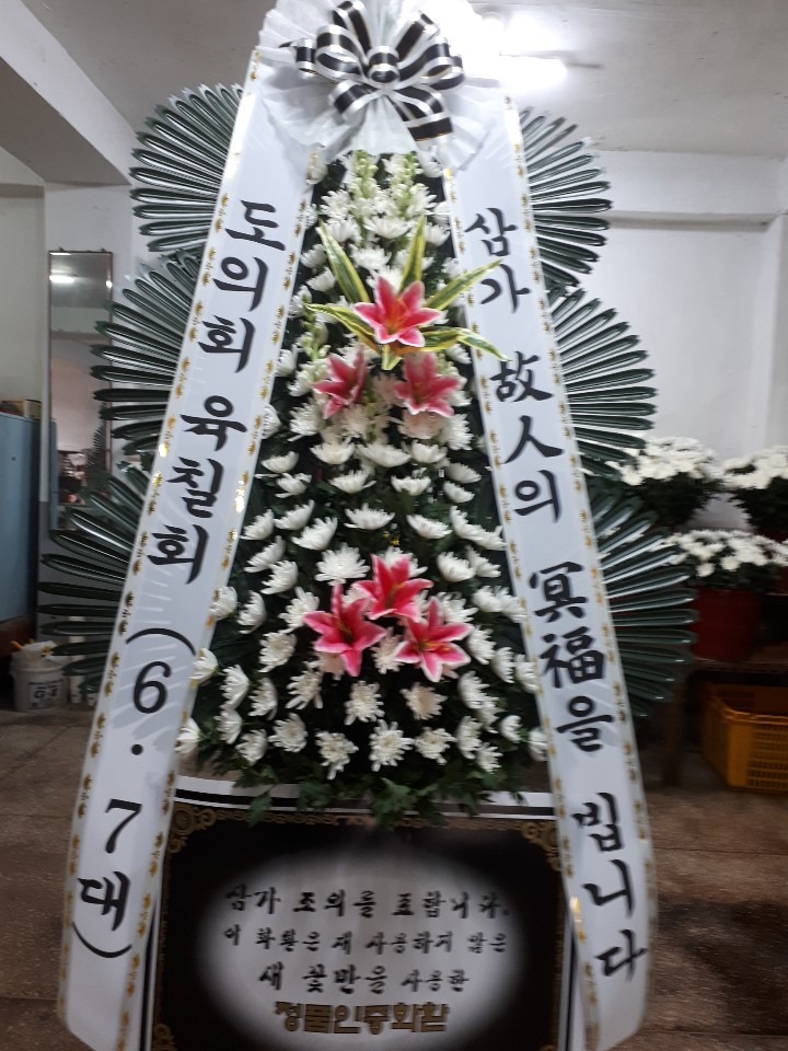 뺴ʽ....
