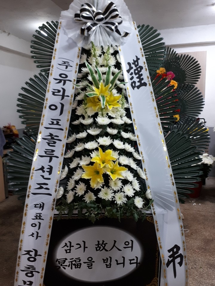 뺴ʽ...