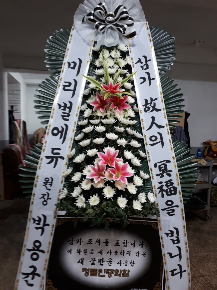뺴ʽ...