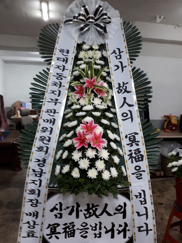 쿬ʽ...