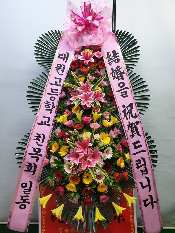 뱸 ƸƳȣڿȦ...