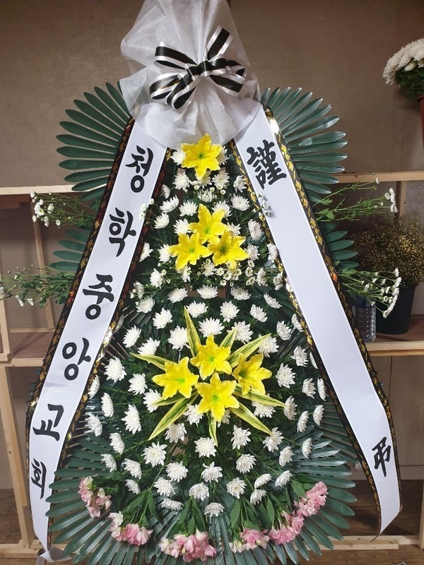 뿵ﺴʽ...