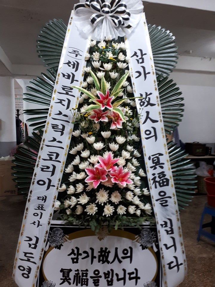 뺴ʽ....