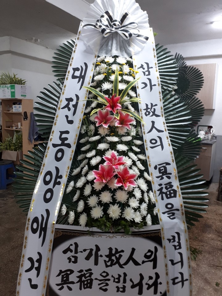 뺴ʽ....