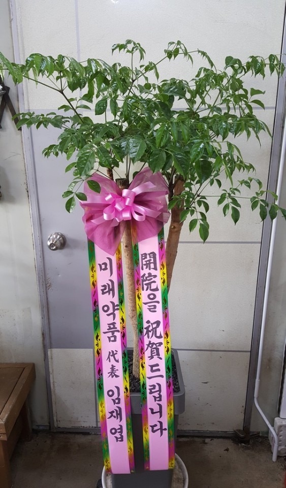 뿵߾ӽŰܰǿ...