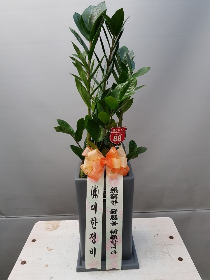 ȿ뵿 ǰ...