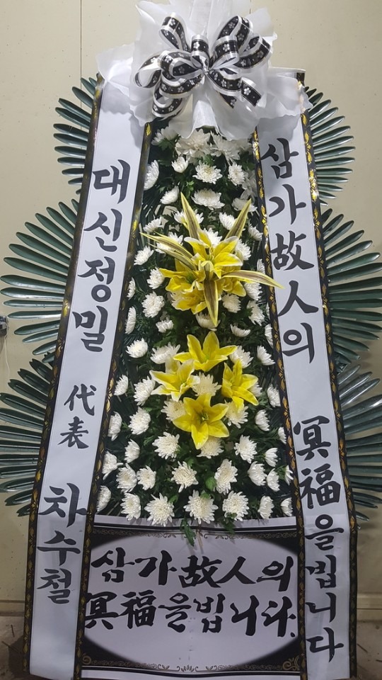 â籺 泲纴ʽ....