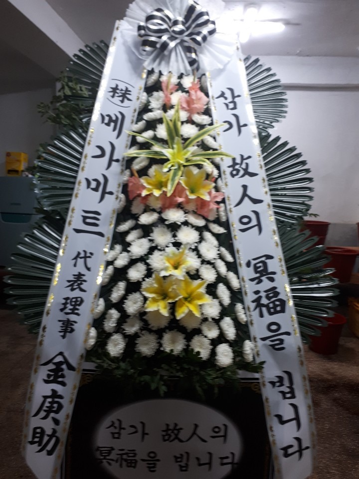 뺴ʽ...