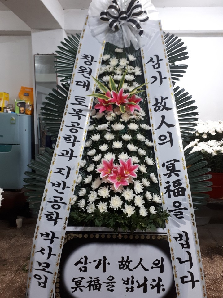 뺴ʽ....