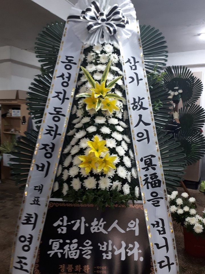 뺴ʽ....