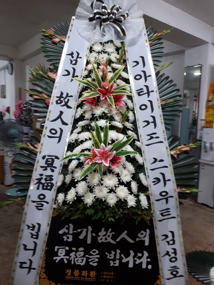 뺴ʽ....