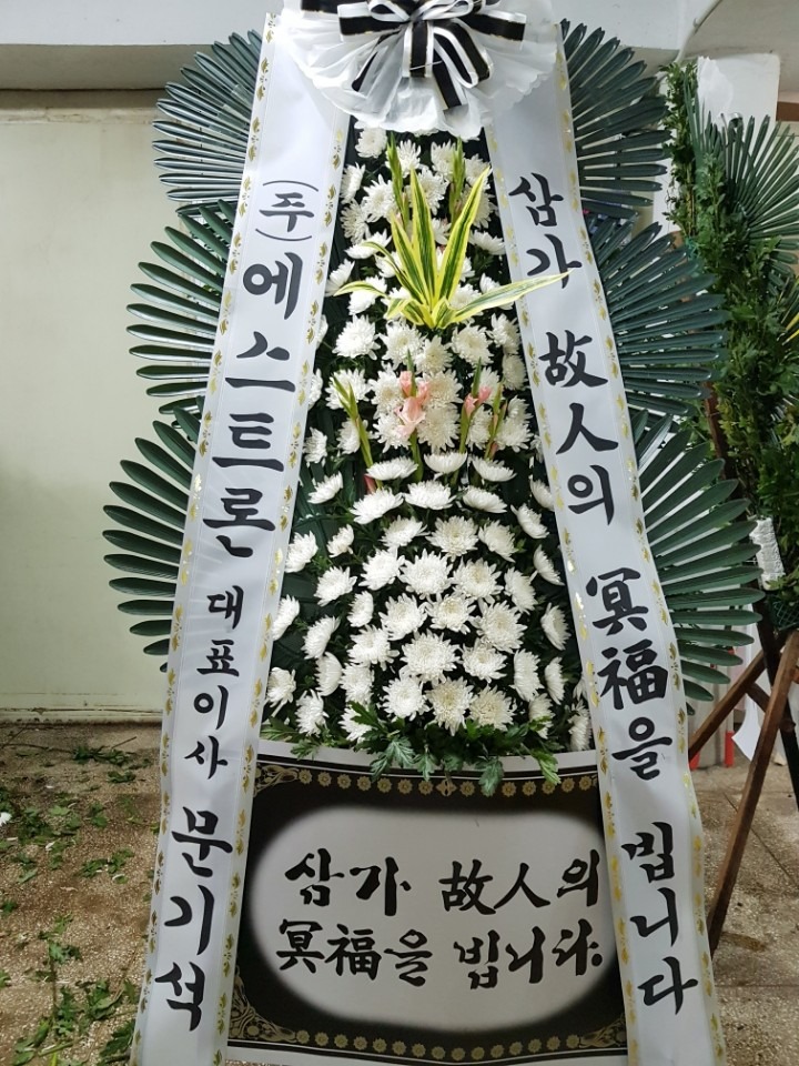 뺴ʽ...