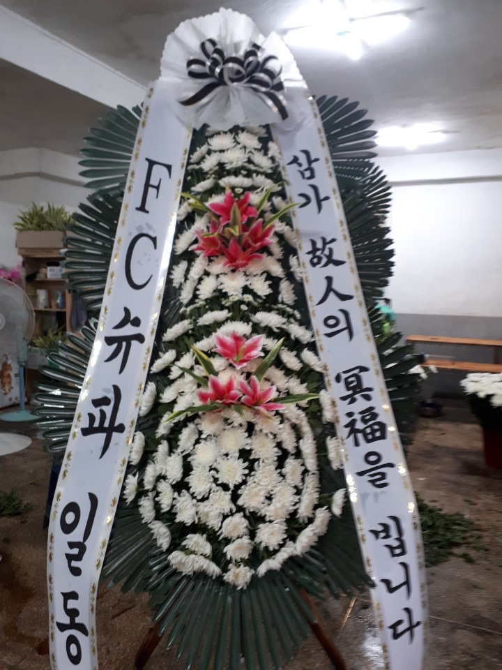 뺴ʽ....