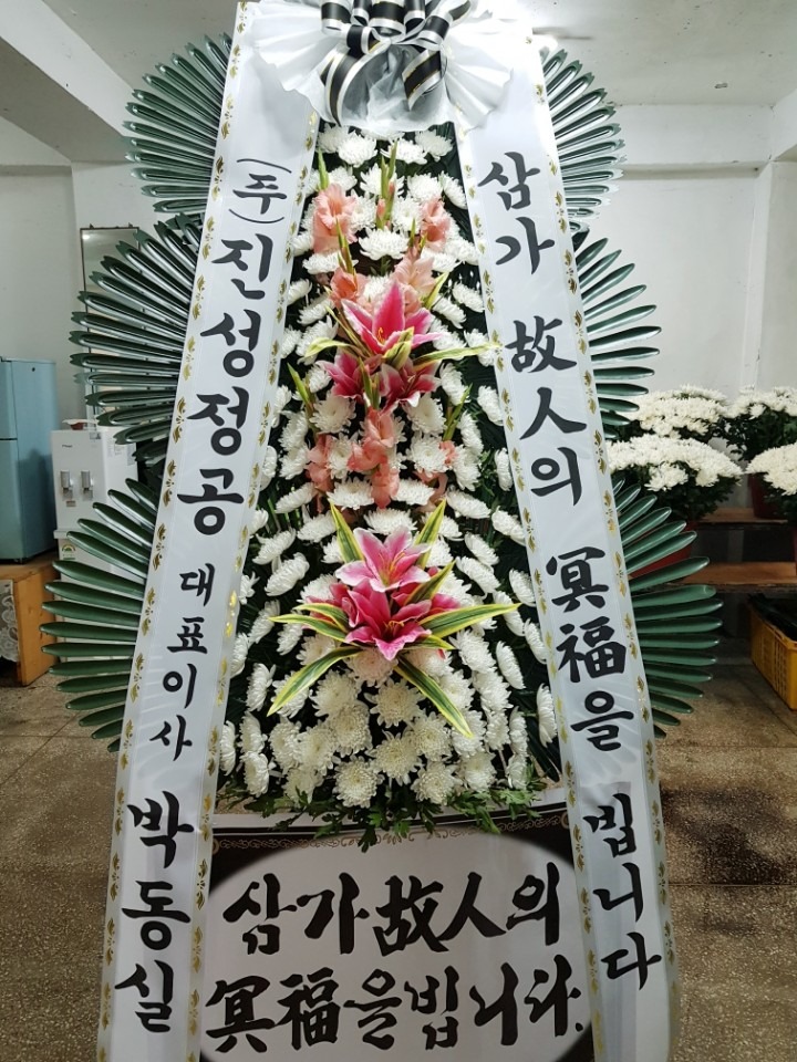 뺴ʽ....