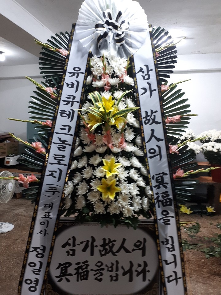  ż纴ʽ....
