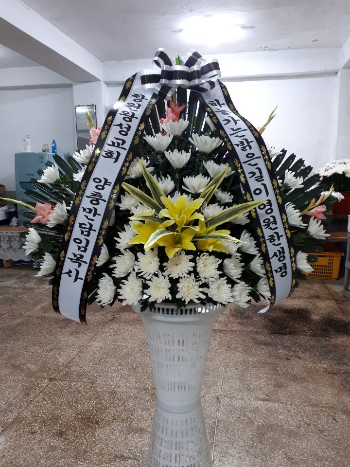 뺴ʽ....