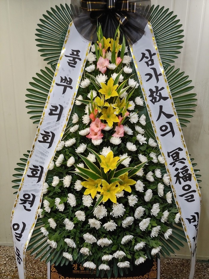 뱸 ī縯뺴ʽ...