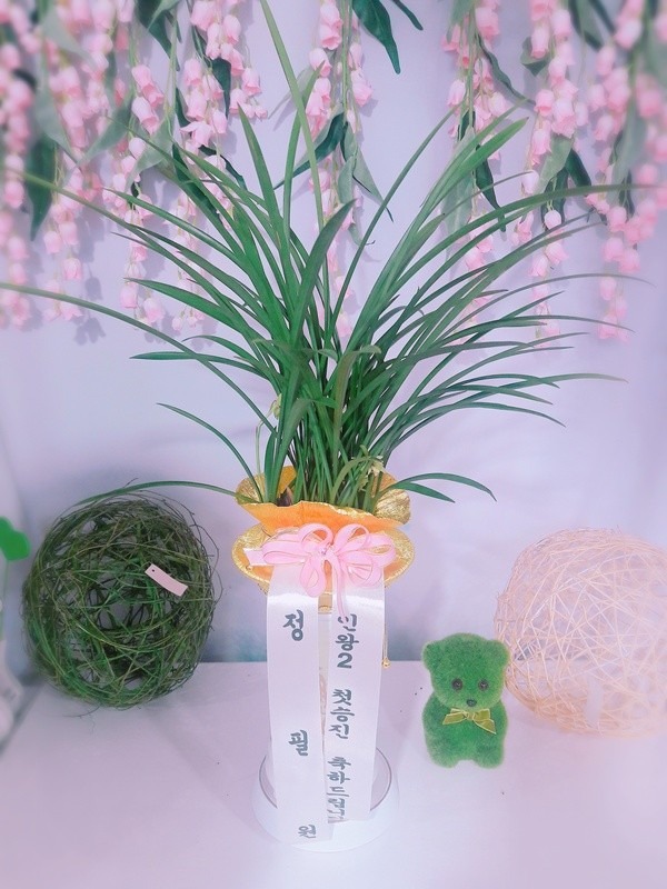 뱸ҷ...