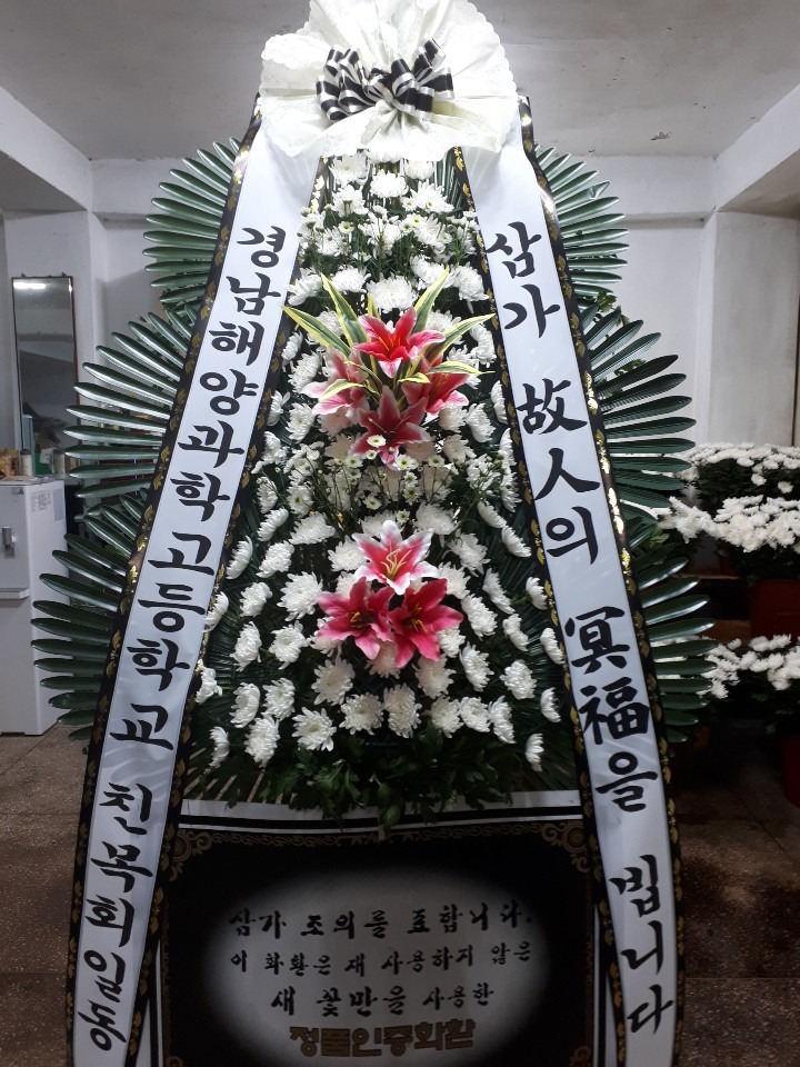 뺴ʽ...
