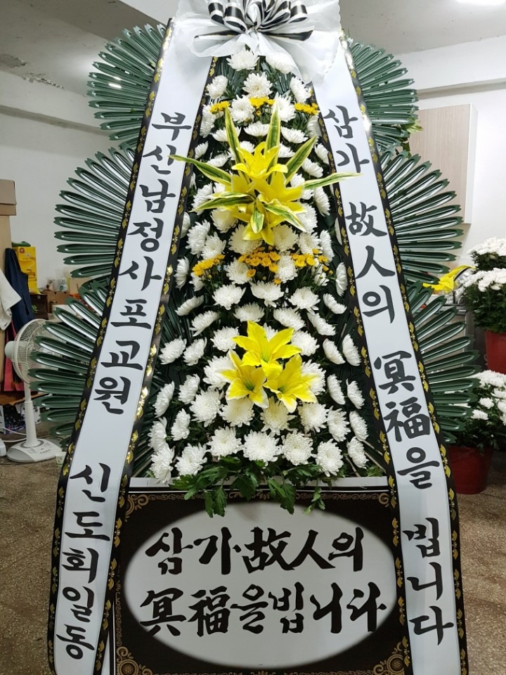 뺴ʽ...